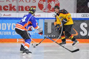 ERC Ingolstadt Legenden vs Sternstunden-Mannschaft, 23.02.2020