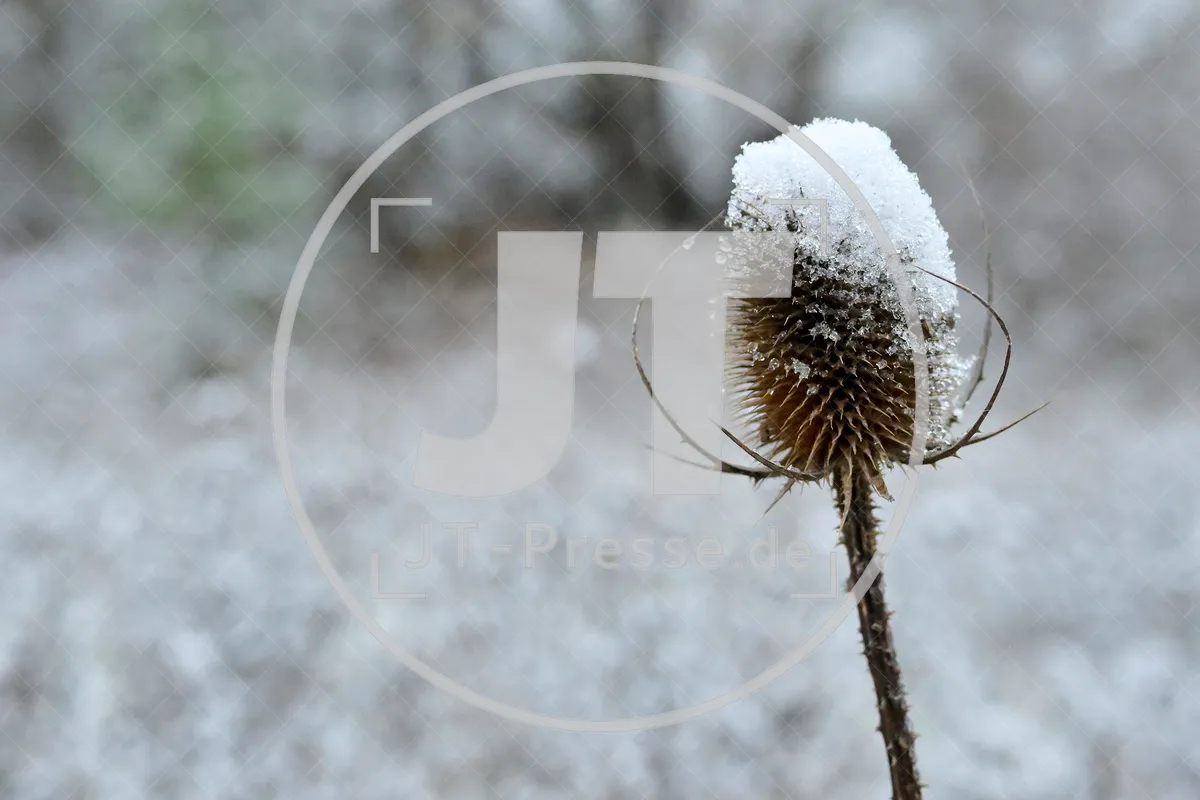Erster Schnee im Altmühltal am 03.12.2022