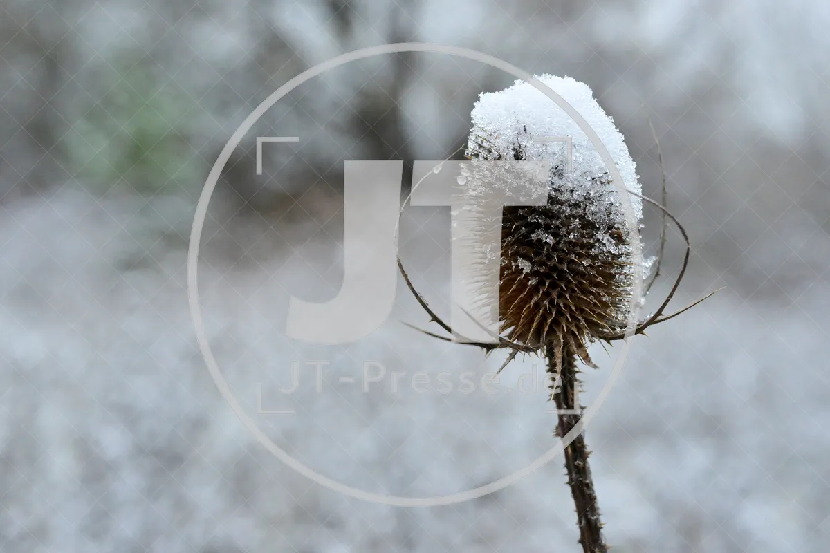 Erster Schnee im Altmühltal am 03.12.2022