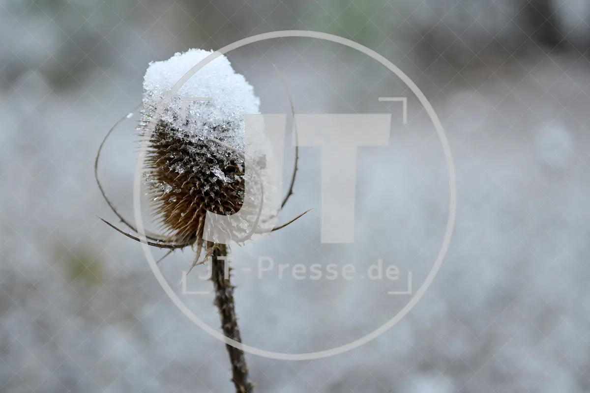 Erster Schnee im Altmühltal am 03.12.2022