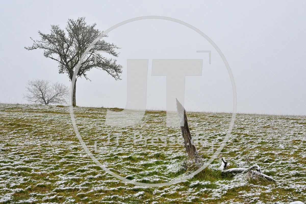 Erster Schnee im Altmühltal am 03.12.2022