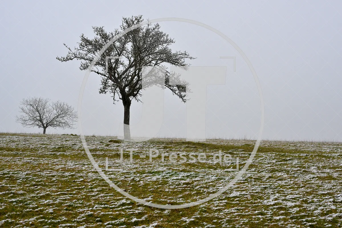 Erster Schnee im Altmühltal am 03.12.2022