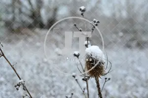 Erster Schnee im Altmühltal am 03.12.2022