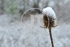 Erster Schnee im Altmühltal am 03.12.2022