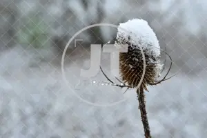 Erster Schnee im Altmühltal am 03.12.2022