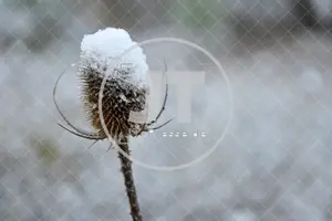Erster Schnee im Altmühltal am 03.12.2022