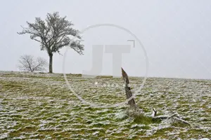 Erster Schnee im Altmühltal am 03.12.2022