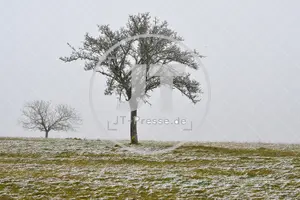 Erster Schnee im Altmühltal am 03.12.2022