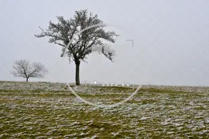 Erster Schnee im Altmühltal am 03.12.2022