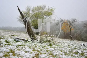 Erster Schnee im Altmühltal am 03.12.2022