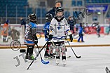 Eishockey, Herren, DEL, Saison 2024-2025, ERC Ingolstadt - Kids On Ice Day, 21.09.2024
