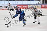 Eishockey, Herren, DEL, Saison 2024-2025, Spieltag 42, ERC Ingolstadt - Kölner Haie, 31.01.2025