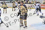 11.01.2015 - ERC Ingolstadt - Hamburg Freezers