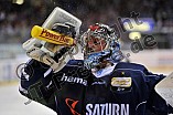 22.04.2015 - ERC Ingolstadt - Adler Mannheim