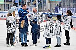 Eishockey, Herren, DEL, Saison 2025-2026, Spiel 43, ERC Ingolstadt - Schwenninger Wild Wings, 25.01.2026