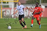 Fußball, Herren, Bayernliga Nord, Saison 2022-2023, Spieltag 15, FC Ingolstadt 04 II - FC Coburg, 03.10.2023