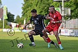 Fußball, Herren, Bayernliga Süd, Saison 2024-2025, Spieltag 3, TSV Rain-Lech - FC Memmingen, 30.07.2024
