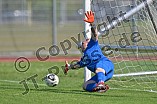 Fußball, Herren, Bezirksliga Oberbayern Nord, Saison 2023-2024, Spieltag 5, TSV Gaimersheim - BC Attaching, 20.08.2023