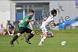 Fußball, Herren, Bezirksliga Mittelfranken Süd, Saison 2023-2024, Spieltag 10, TSV Greding - SV Seligenporten, 10.09.2023