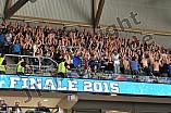 14.04.2015 - Adler Mannheim - ERC Ingolstadt
