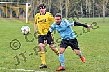 28.03.2015 - DJK Pollenfeld - TSG Ellingen