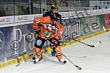 ERC Ingolstadt vs Grizzlys Wolfsburg, Eishockey, DEL, Deutsche Eishockey Liga, 18.10.2015