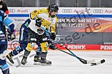 Eishockey, Frauen, DFEL, Halbfinale, Saison 2022-2023, ERC Ingolstadt - Mad Dogs Mannheim, 25.02.2023