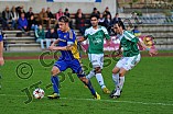 08.11.2014 - VfB Eichstätt - TSV 1883 Bogen