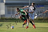 Fußball, Herren, Bezirksliga Mittelfranken Süd, Saison 2023-2024, Vorbereitung, TSV Greding - VfB Eichstätt II, 03.07.2023