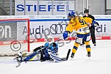 Eishockey, Frauen, DFEL, Saison 2025-2026, Testspiel, ERC Ingolstadt - HC Davos, 14.02.2026