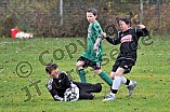 10.11.2013 - JFG Region Eichstätt - SV Ingolstadt-Hundszell