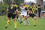 01.09.2018 - DJK Pollnfeld - TSV Röttenbach