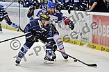 12.04.2015 - ERC Ingolstadt - Adler Mannheim