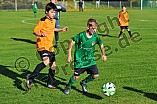 08.11.2014 - JFG Region Eichstätt II - TV 1861 Ingolstadt