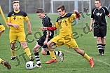 15.11.2015 - DJK Pollenfeld - SG SV Cronheim
