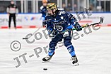 Eishockey, Frauen, DFEL, Saison 2024-2025, ERC Ingolstadt - ECDC Memmingen Indians, 16.11.2024