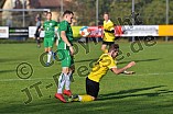 Fußball, Herren, Kreisliga West, Saison 2021-2022, Spieltag 12, DJK Pollenfeld - SV Wettelsheim, 17.10.2021