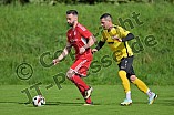 Fußball, Herren, Kreisliga 1, Saison 2024-2025, Spieltag 9, FC Hitzhofen-Oberzell - TSV Hohenwart, 29.09.2024