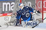 Eishockey, Frauen, DFEL, Saison 2024-2025, ERC Ingolstadt - EC Bergkamener Bären, 12.10.2024
