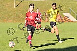 03.11.2012 - SG FC Hitzhofen-Oberzell / SG SpVgg Wolfsbuch