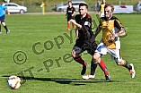 15.10.2017 - DJK Dollnstein - SV Ochsenfeld