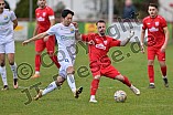 Fußball, Herren, Regionalliga Bayern, Saison 2022-2023, Spieltag 25, TSV Rain-Lech - FC Pipinsried, 25.02.2023