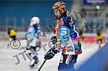 Eishockey, Frauen, DFEL, Saison 2024-2025, ERC Ingolstadt - Mad Dogs Mannheim, 23.11.2024