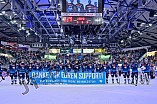 Eishockey, Herren, DEL, Saison 2024-2025, Spieltag 28, ERC Ingolstadt - Schwenninger Wild Wings, 20.12.2024