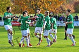 29.10.2016 - VfB Eichstätt - SV Erlenbach-Main
