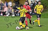 Fußball, Herren, Kreisliga 1, Saison 2024-2025, Spieltag 9, FC Hitzhofen-Oberzell - TSV Hohenwart, 29.09.2024