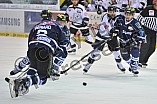 02.01.2015 - ERC Ingolstadt - Thomas Sabo Ice Tigers