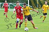 21.08.2016 - DJK Pollenfeld - SV Cronheim