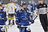 Eishockey, Frauen, DFEL, Saison 2021-2022, ERC Ingolstadt - Mad Dogs Mannheim, 23.10.2021