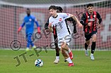 Fußball, Herren, Bayernliga Nord, Saison 2024-2025, Spieltag 31, FC Ingolstadt 04 II - ATSV Erlangen, 25.04.2025